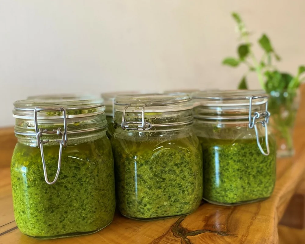 Hausgemachtes Pesto